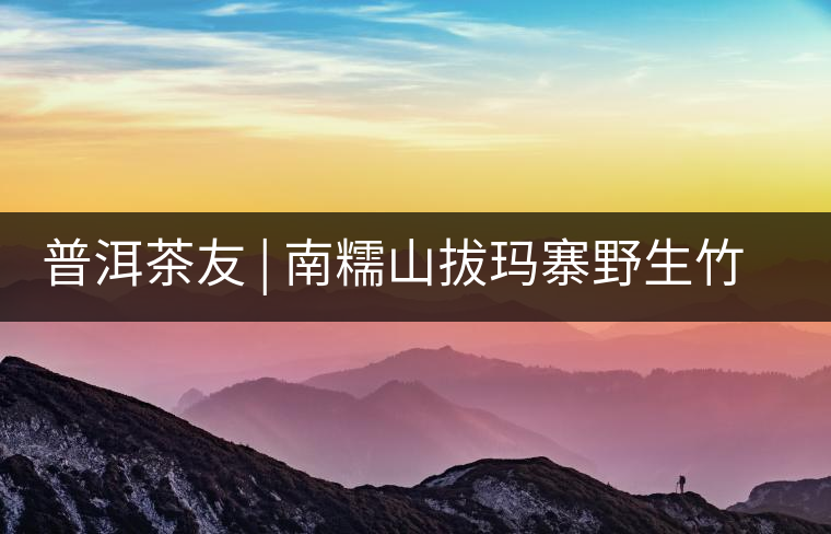 普洱茶友 | 南糯山拔瑪寨野生竹蓀給看過(guò)？