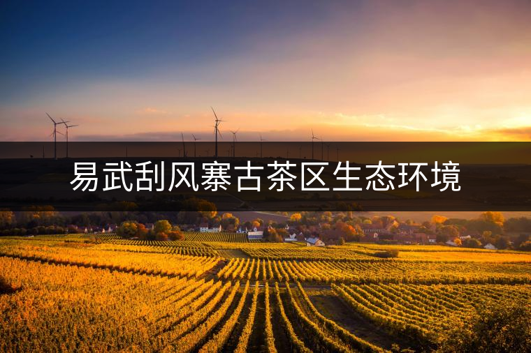 易武刮風(fēng)寨古茶區(qū)生態(tài)環(huán)境 易武刮風(fēng)寨古茶區(qū)生態(tài)環(huán)境