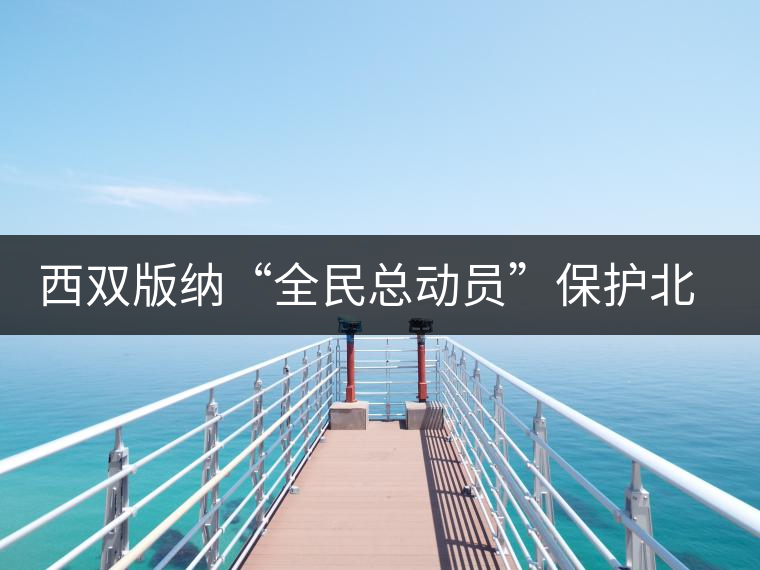 西雙版納“全民總動(dòng)員”保護(hù)北回歸線唯一綠洲 西雙版納“全民總動(dòng)員”保護(hù)北回歸線唯一綠洲