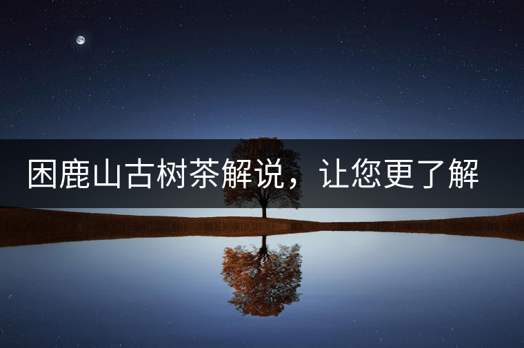 困鹿山古樹茶解說(shuō)，讓您更了解古樹貢茶