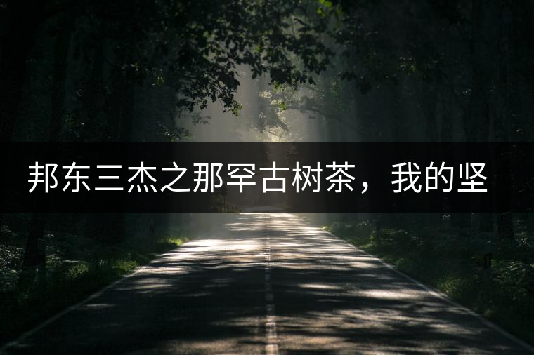 邦東三杰之那罕古樹茶，我的堅(jiān)持