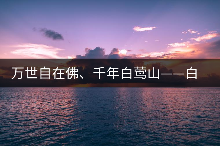 萬(wàn)世自在佛、千年白鶯山——白鶯山古樹(shù)茶特點(diǎn)