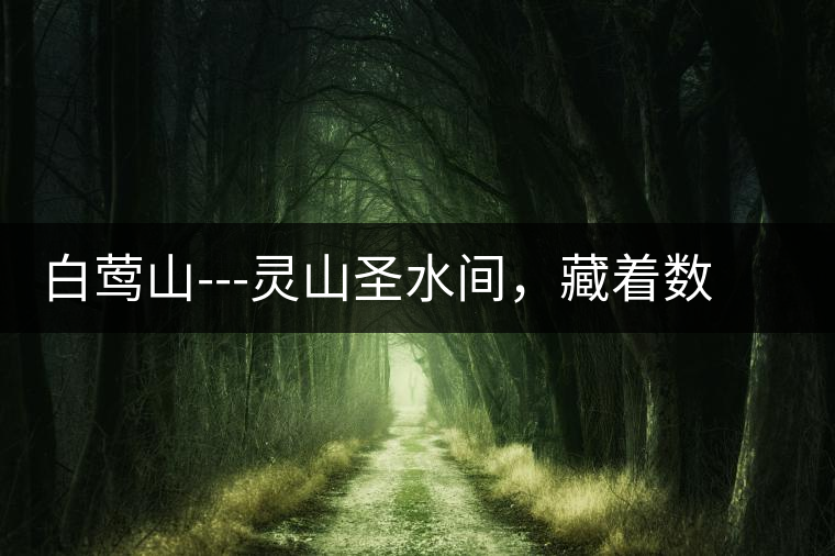 白鶯山---靈山圣水間，藏著數(shù)不盡的佛茶佳話