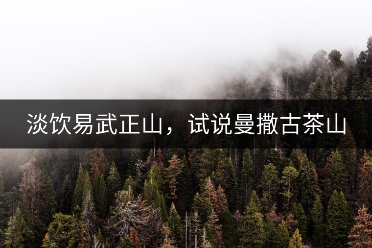 淡飲易武正山，試說曼撒古茶山