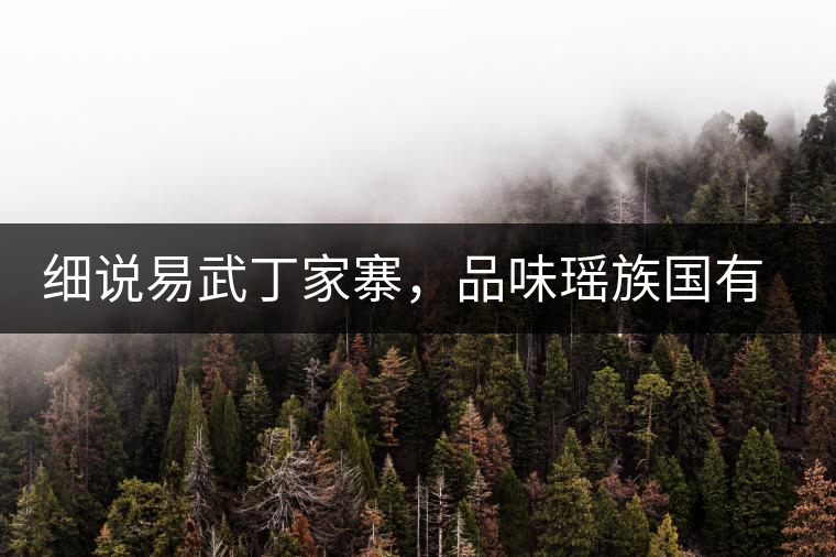 細(xì)說(shuō)易武丁家寨，品味瑤族國(guó)有林古樹普洱茶