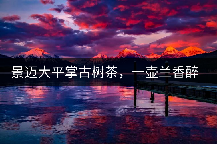 景邁大平掌古樹茶，一壺蘭香醉春秋