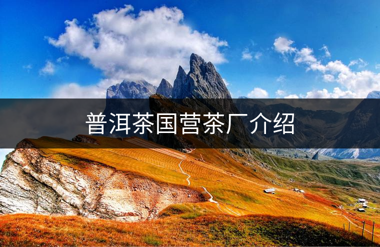 普洱茶國營茶廠介紹 普洱茶國營茶廠介紹