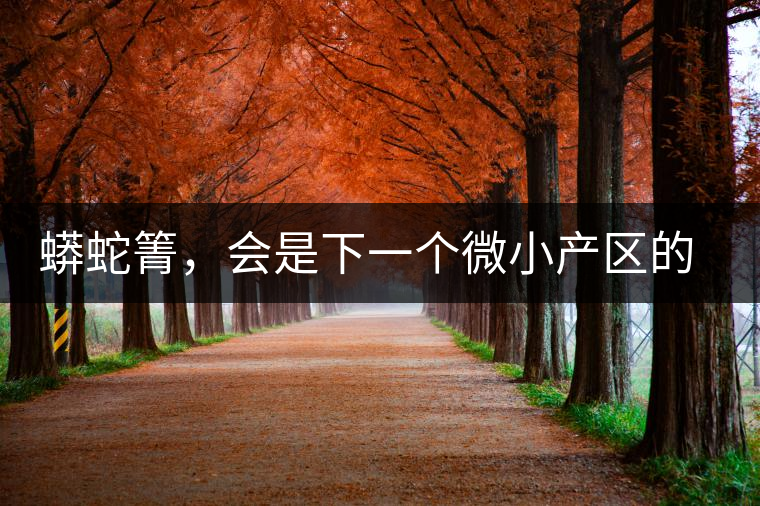 蟒蛇箐，會(huì)是下一個(gè)微小產(chǎn)區(qū)的熱門山頭嗎？