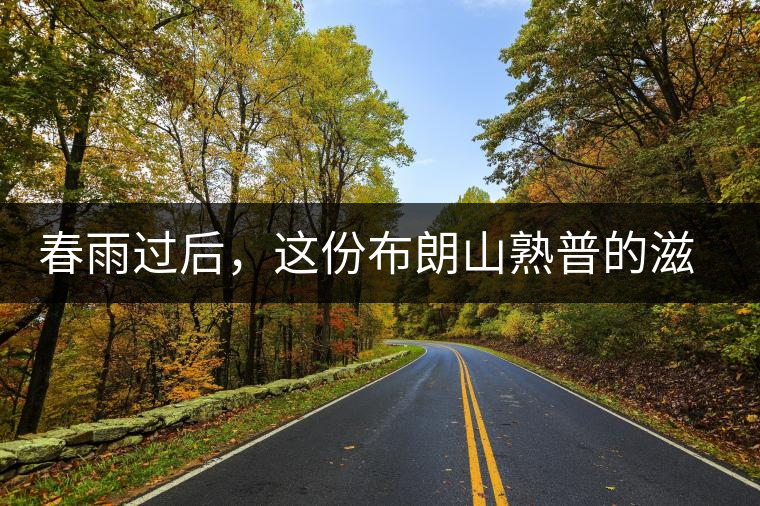 春雨過后，這份布朗山熟普的滋味正當(dāng)時