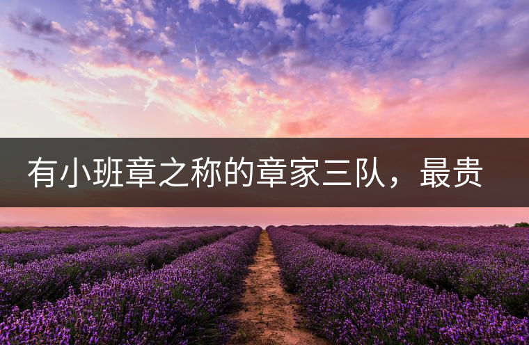 有小班章之稱的章家三隊(duì)，最貴的小樹茶