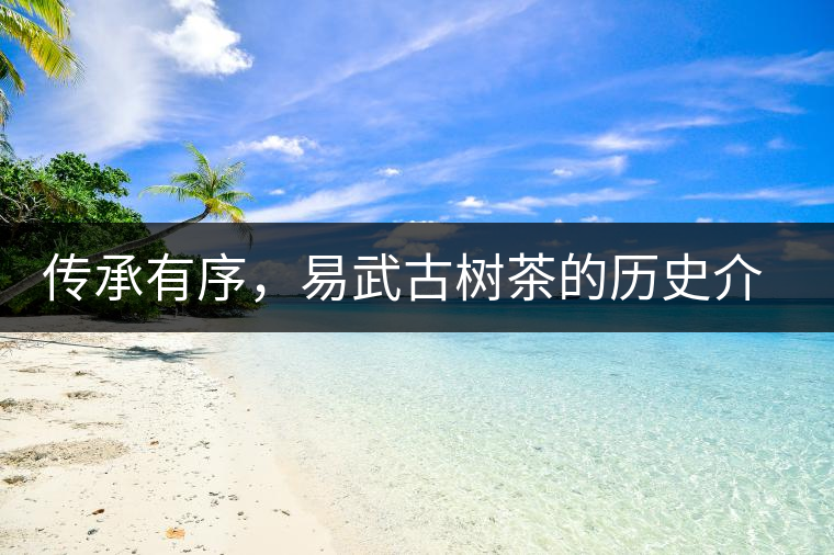 傳承有序，易武古樹茶的歷史介紹