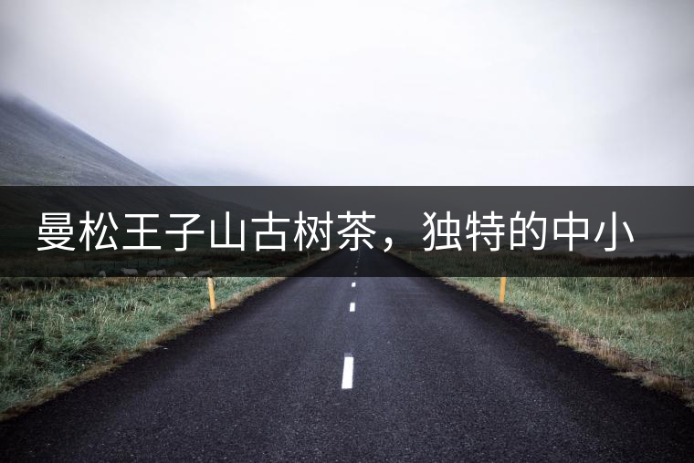 曼松王子山古樹(shù)茶，獨(dú)特的中小葉種珍品貢茶