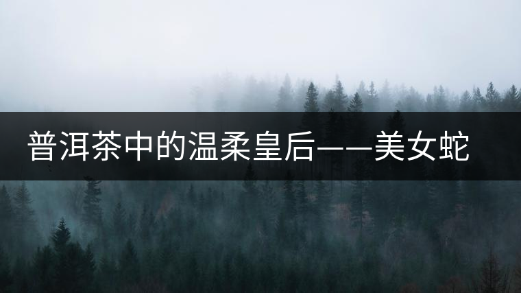 普洱茶中的溫柔皇后——美女蛇居住之地易武古樹茶區(qū)