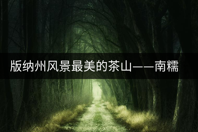 版納州風景最美的茶山——南糯山古茶山 版納州風景最美的茶山——南糯山古茶山
