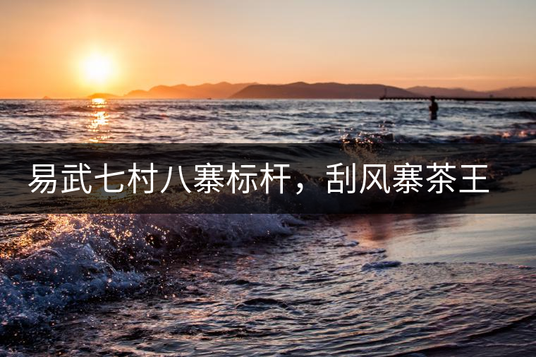 易武七村八寨標(biāo)桿，刮風(fēng)寨茶王樹介紹