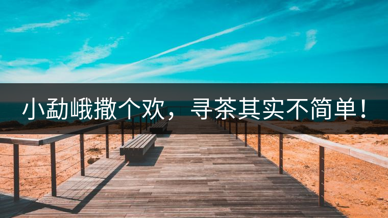 小勐峨撒個(gè)歡，尋茶其實(shí)不簡(jiǎn)單！