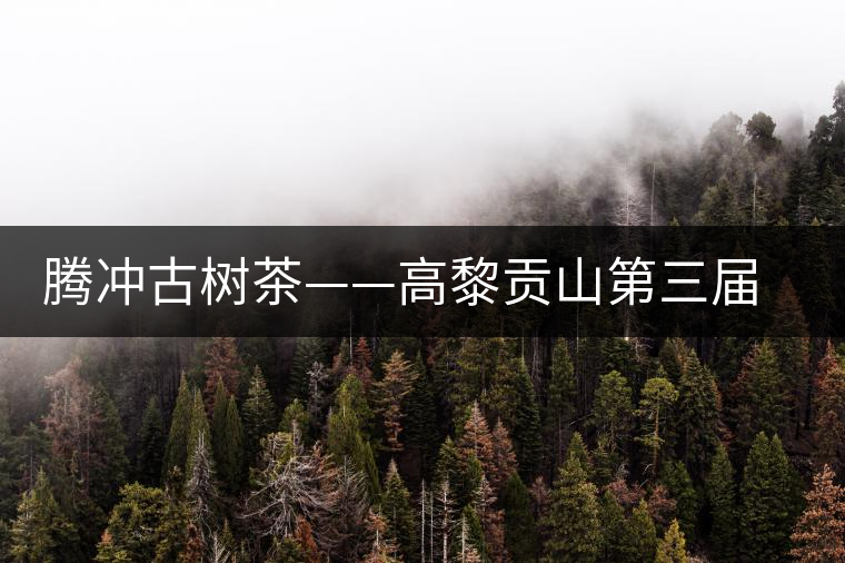 騰沖古樹茶——高黎貢山第三屆茶文化節(jié) 騰沖古樹茶——高黎貢山第三屆茶文化節(jié)