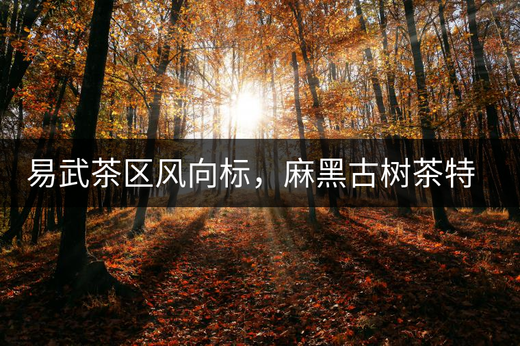 易武茶區(qū)風(fēng)向標(biāo)，麻黑古樹茶特點(diǎn)介紹