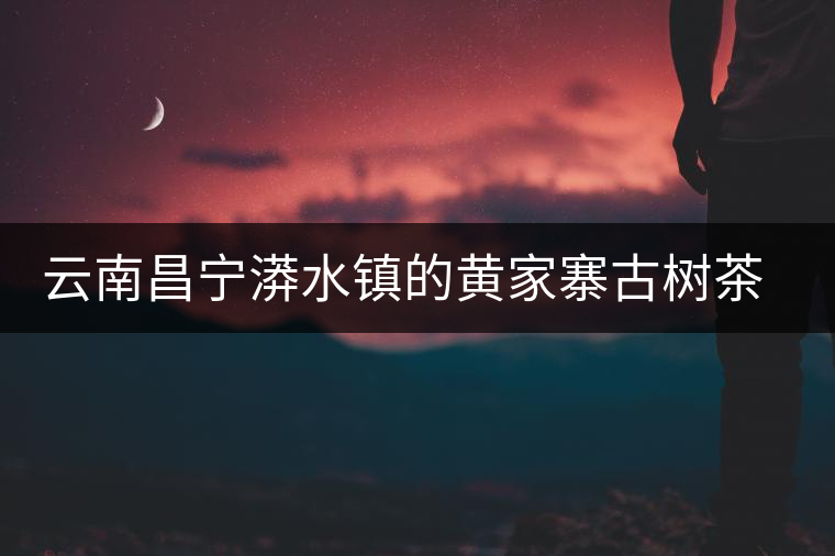 云南昌寧漭水鎮(zhèn)的黃家寨古樹茶特點介紹