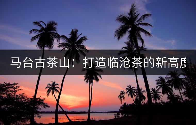 馬臺(tái)古茶山：打造臨滄茶的新高度？