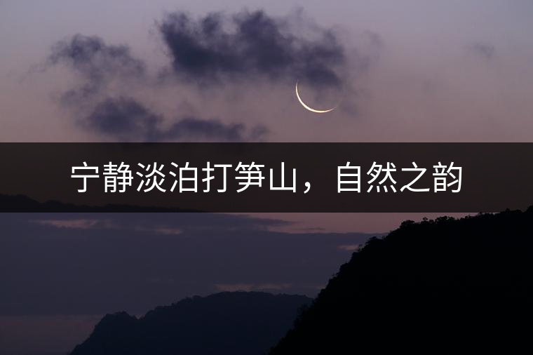 寧靜淡泊打筍山，自然之韻