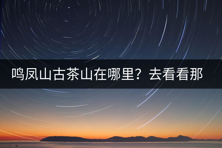 鳴鳳山古茶山在哪里？去看看那鳳凰曾經落腳的地方