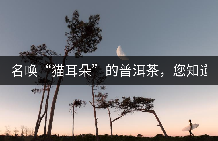 名喚“貓耳朵”的普洱茶，您知道嗎、