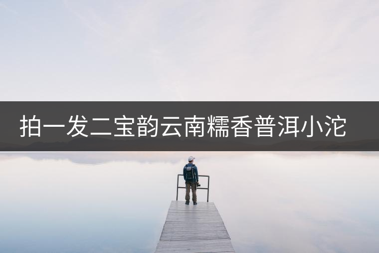 拍一發(fā)二寶韻云南糯香普洱小沱茶熟茶迷你小金沱茶茶葉糯米香濃香