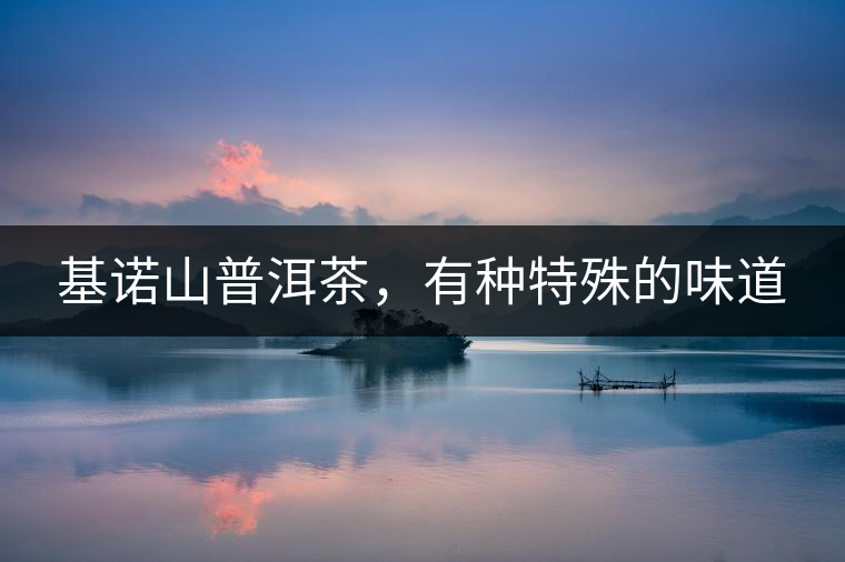 基諾山普洱茶，有種特殊的味道