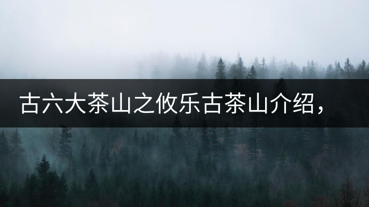 古六大茶山之攸樂(lè)古茶山介紹，攸樂(lè)古樹(shù)茶口感特點(diǎn)