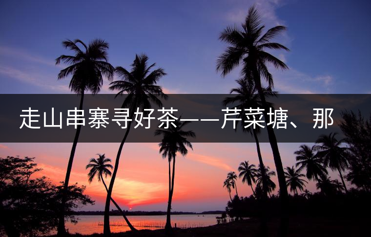 走山串寨尋好茶——芹菜塘、那罕、曼崗、昔歸