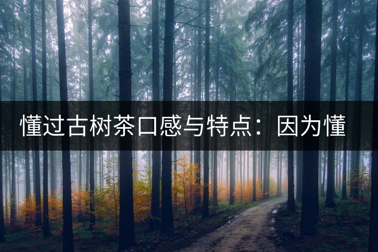懂過(guò)古樹(shù)茶口感與特點(diǎn)：因?yàn)槎?，所以舍得用余生?lái)珍惜！