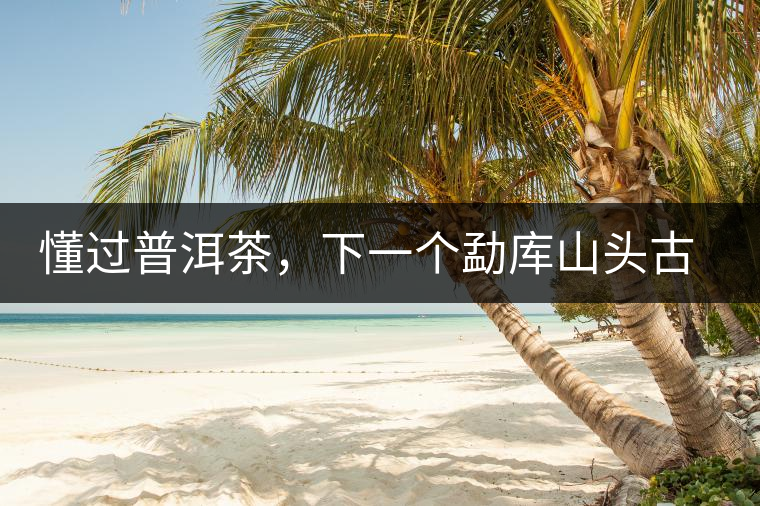 懂過普洱茶，下一個勐庫山頭古純的引爆點