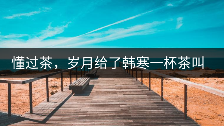 懂過茶，歲月給了韓寒一杯茶叫懂過