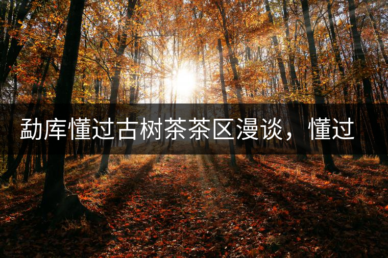 勐庫(kù)懂過(guò)古樹(shù)茶茶區(qū)漫談，懂過(guò)古樹(shù)茶的特點(diǎn)