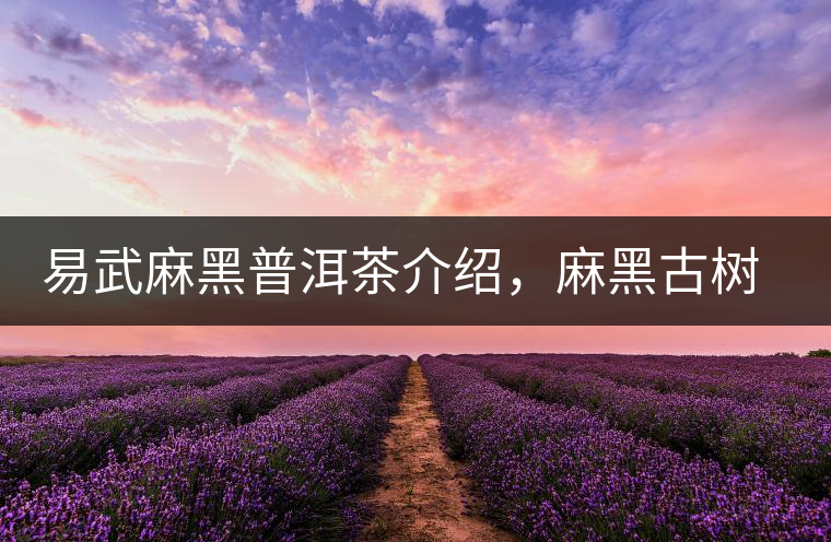 易武麻黑普洱茶介紹，麻黑古樹茶口感特點
