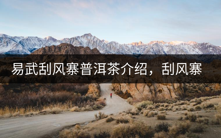 易武刮風寨普洱茶介紹，刮風寨古樹茶口感特點