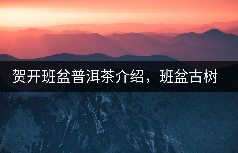 賀開班盆普洱茶介紹，班盆古樹茶口感特點