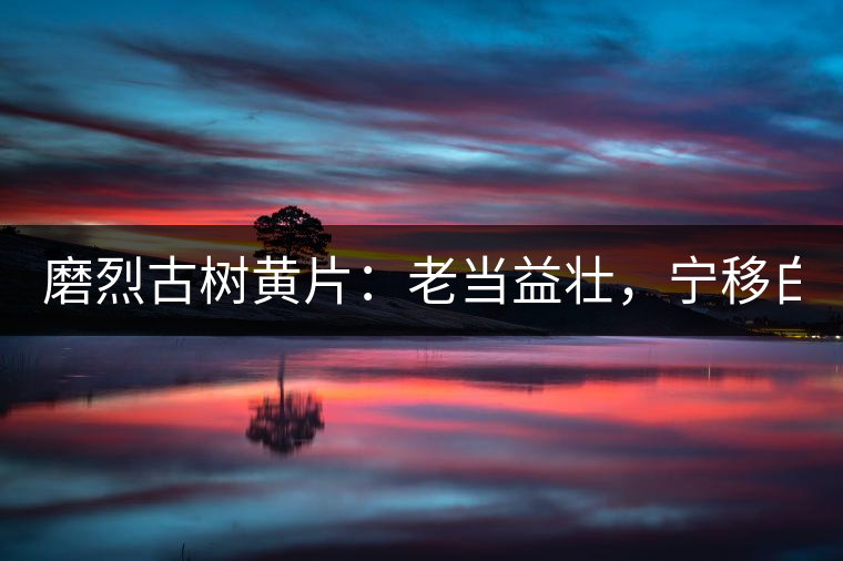 磨烈古樹黃片：老當(dāng)益壯，寧移白首之心！