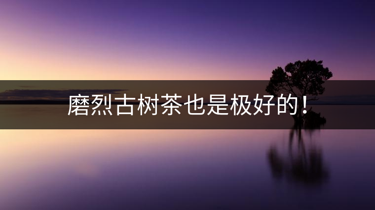 磨烈古樹茶也是極好的！