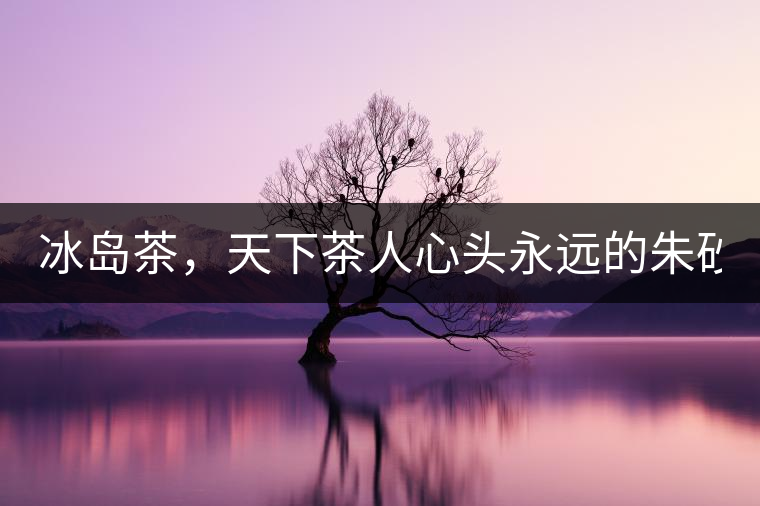 冰島茶，天下茶人心頭永遠的朱砂痣！