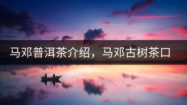 馬鄧普洱茶介紹，馬鄧古樹茶口感特點(diǎn)