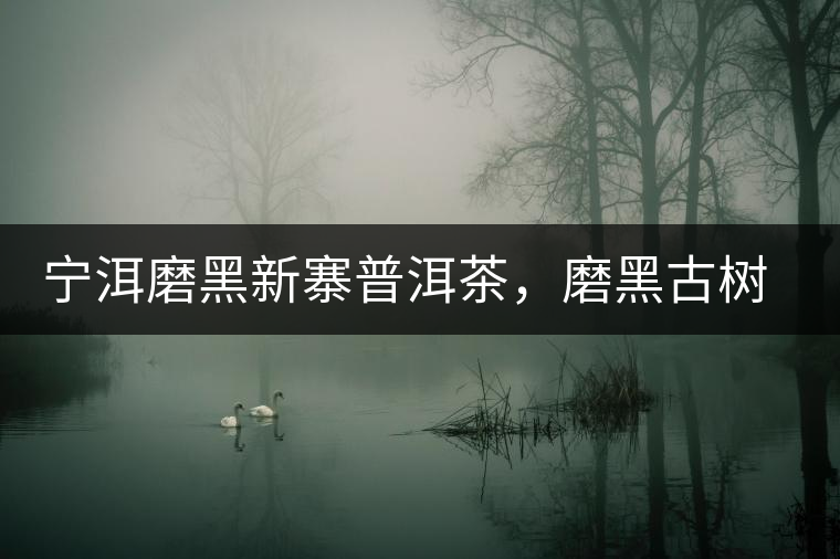 寧洱磨黑新寨普洱茶，磨黑古樹茶口感特點