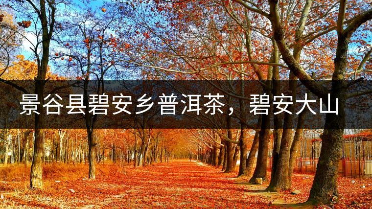 景谷縣碧安鄉(xiāng)普洱茶，碧安大山古樹茶口感特點