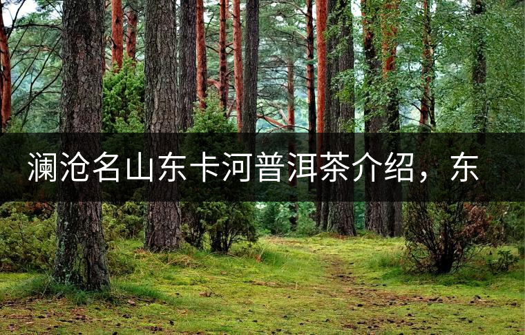 瀾滄名山東卡河普洱茶介紹，東卡河古樹茶口感特點