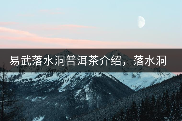 易武落水洞普洱茶介紹，落水洞古樹茶口感特點