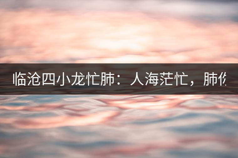 臨滄四小龍忙肺：人海茫忙，肺你莫屬！