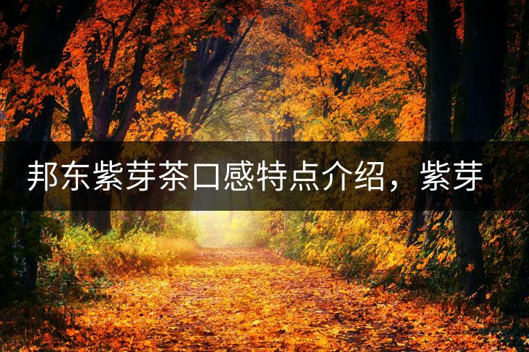 邦東紫芽茶口感特點(diǎn)介紹，紫芽與紫鵑區(qū)別