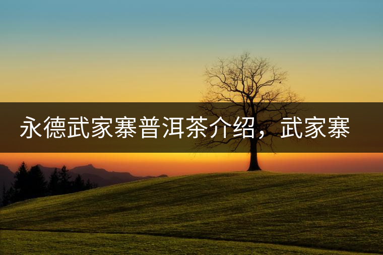 永德武家寨普洱茶介紹，武家寨古樹茶口感特點(diǎn)