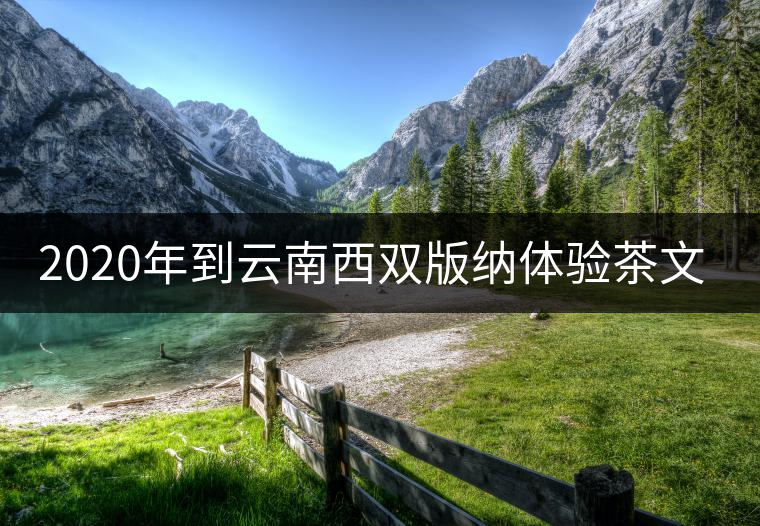 2020年到云南西雙版納體驗茶文化旅游！